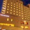 Alpico Plaza Hotel - map