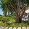 Tonicello Hotel Resort & Spa - map