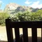 Hilton Tucson El Conquistador Golf & Tennis Resort - map