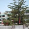 Apartamentos Fayna - map