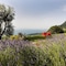 Lefay Resort & Spa Lago Di Garda - map