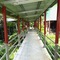 Celyn Resort Kinabalu - map