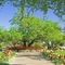 The Lodge At Ventana Canyon - map