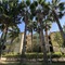 Melissa Garden Apart Hotel - map