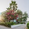 Calypso Beach Hotel - map