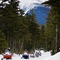 Omni Mount Washington Resort & Spa - map