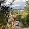 Terre Blanche Hotel Spa Golf Resort - map