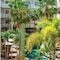 Hotel Santa Fe Loreto By Villa Group - map