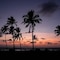 Longuinhos Beach Resort - map