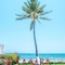 Samba Vallarta - All Inclusive - map