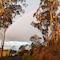 River Vineyard Retreat - map