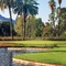 Orange Tree Resort - map