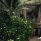 Be Destination Tulum - map