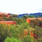Hotel Aldiola Country Resort - map