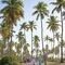 Grand Palladium Imbassai Resort & Spa All Inclusive - map