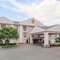 Super 8 By Wyndham Garland North Dallas Area - map