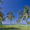 The St. Regis Punta Mita Resort - map