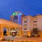 Holiday Inn Express Hotel & Suites Mount Pleasant By Ihg - map