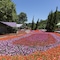 Hotel Unique Garden - map