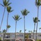 Maui Beach Hotel - map