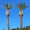 Cambria Palms Motel - map