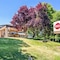 Best Western Plus Prairie Inn - map