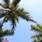 Capt Hiram's Resort - map