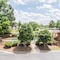 Quality Inn & Suites Rockingham - map