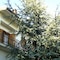 Villa Caterina - map