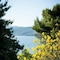 Camping Villaggio Cerquestra - map