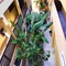 Apart Hotel Casa Grande - map