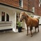 Moorhill House Hotel - map