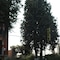 Hotel Tuscolano - map