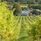 Denbies Vineyard Hotel - map