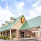Super 8 By Wyndham Kingston - map