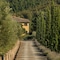 Dievole Wine Resort - map
