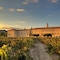 Abadia Retuerta Ledomaine - map
