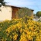 Rocce Bianche - map