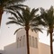 Baron Palms Sharm El Sheikh Hotel- Adults Only - map