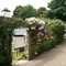 Frogwell - map