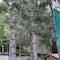 Natyral Razma Resort - map