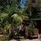 The Palms At Avoca - map