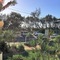 Camargue Beachfront Apartments - map