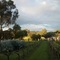 Southern Vales Bed & Breakfast - map