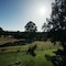 Deville At Healesville - map