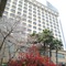 Maritim Hotel Taicang Garden - map