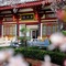 Tang Dynasty Art Garden Hotel - map