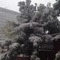 Holiday Inn Express Ordos Dongshen By Ihg - map