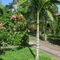 Aiyana Lodge - map