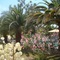 Tropic Hotel - map
